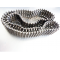 T'rex metal chian(PAIR) ROHS