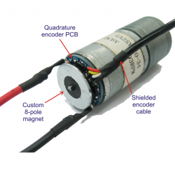 DAGU "Wild Thumper" encoders RS003-Enco with motor 75:1 ROHS