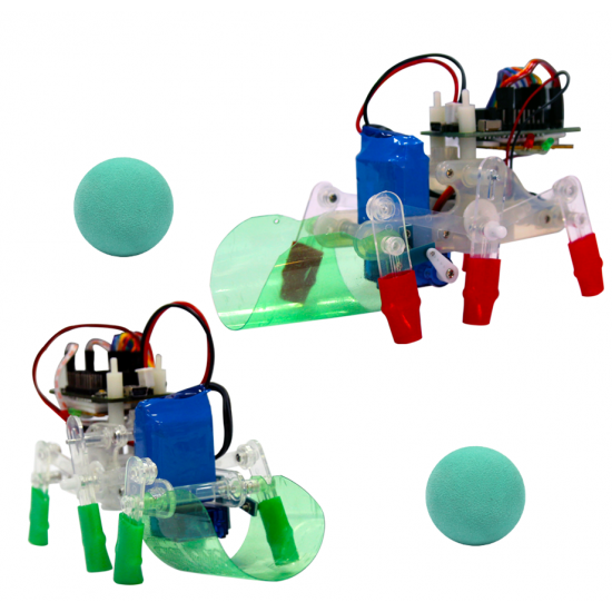 Soccer robot ROHS