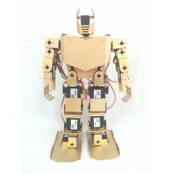 17 degrees of freedom dancing robot full set of humanoid robot ROHS