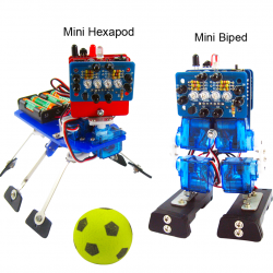 Mini Bot(mini soccer robot +6 legged robot) ROHS